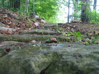 2007 06-Eureka Springs Path